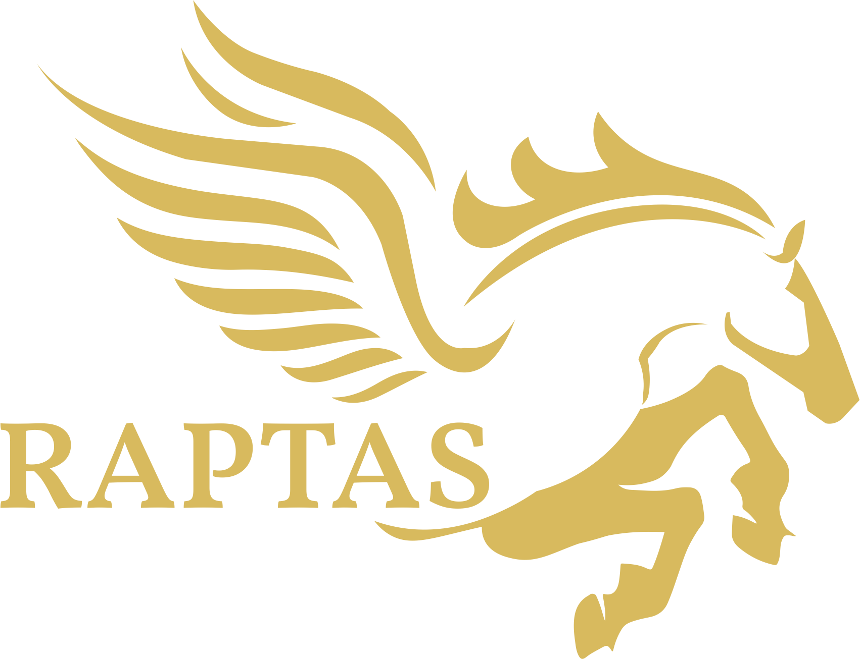 Raptas Financial Solution