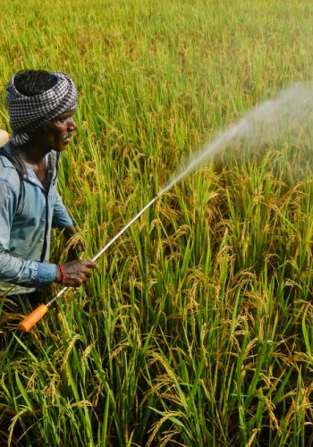 Agricultural Farming